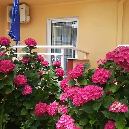 Apartment Remezzo House *